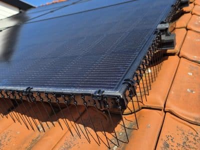 Vogelwering zonnepanelen plaatsen